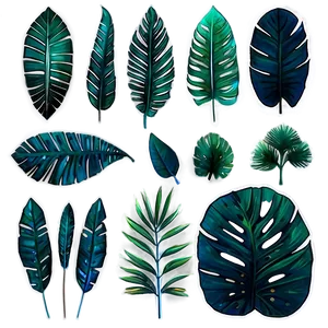 Palm Leaves Set PNG 3