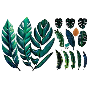 Palm Leaves Set PNG Qsc