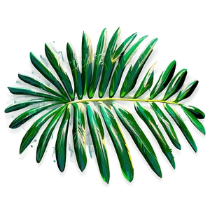 Palm Leaves Sketch PNG Wih42