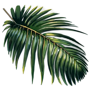 Palm Leaves Vector PNG Rdu63