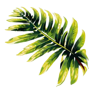 Palm Leaves Vector PNG Ytp