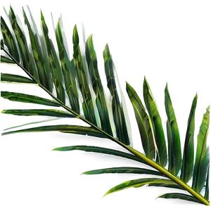 Palm Leaves Wallpaper PNG 05252024
