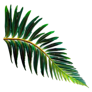 Palm Leaves Wallpaper PNG 88