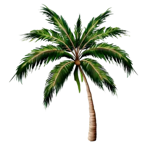 Palm Tree Branch Png Foo PNG image