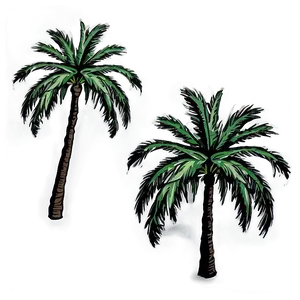 Palm Tree Illustration PNG 43 PNG
