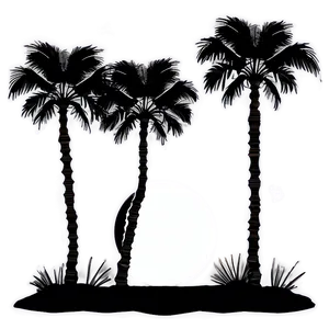 Palm Tree Night Silhouette PNG Whd PNG