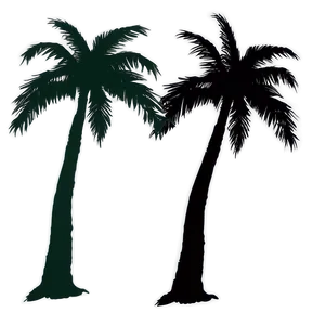 Palm Tree Silhouette Art PNG 06262024 PNG