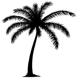 Palm Tree Silhouette Art PNG 98