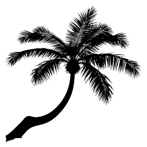 Palm Tree Silhouette With Birds PNG Kot PNG