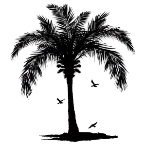 Palm Tree Silhouette With Birds PNG Rda PNG