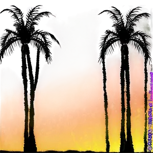 Palm Tree Sunset Background PNG Vbj32 PNG