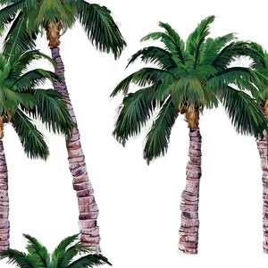 Palm Trees And Mountains PNG 05042024 PNG