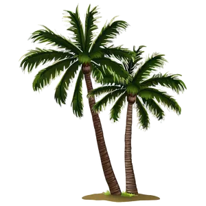 Palm Trees At Night PNG 05042024