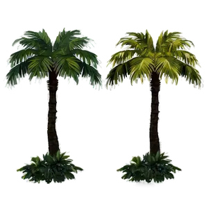 Palm Trees At Night PNG Iwj