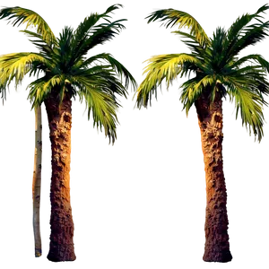 Palm Trees In Desert PNG 05042024