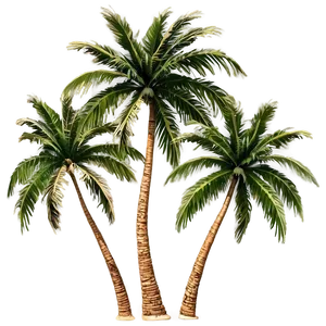 Palm Trees In Paradise PNG Hgb82