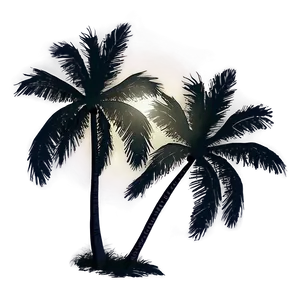 Palm Trees On Beach Sunset PNG 05042024 PNG