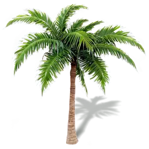 Palm Trees On Island Png 05042024 PNG image