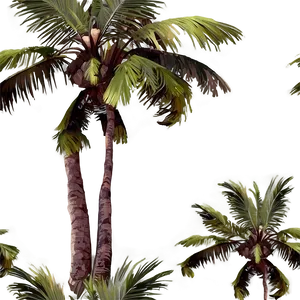 Palm Trees On Island PNG 29