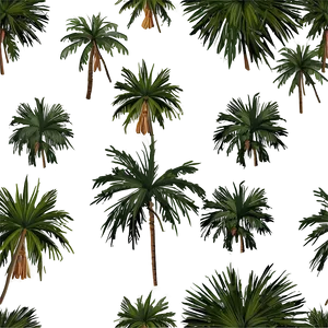 Palm Trees On Island Png Vki82 PNG image