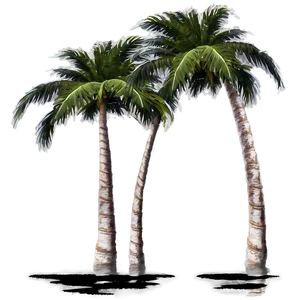 Palm Trees Reflection PNG Jlk PNG