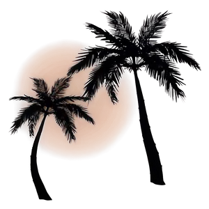 Palm Trees Silhouette At Sunset PNG Qmw PNG