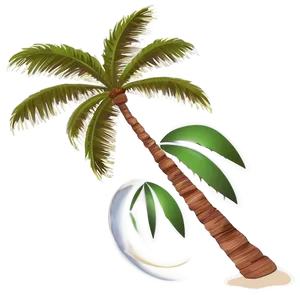 Palm Trees Sunset Beach PNG 05042024 PNG
