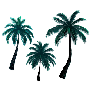 Palm Trees Sunset Beach PNG Axa PNG