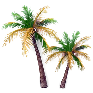 Palm Trees Sunset Beach PNG Byh73 PNG