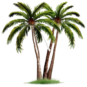 Palm Trees With Birds Png Vvf94 PNG image
