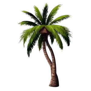 Palm Trees With Coconuts PNG Unl8 PNG