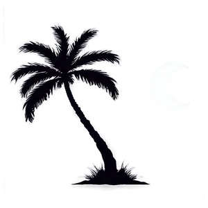 Palm Trees With Moon PNG Tus