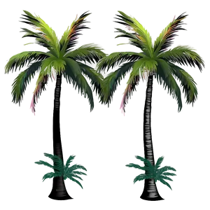 Palm Trees With Sunset Background PNG 05042024