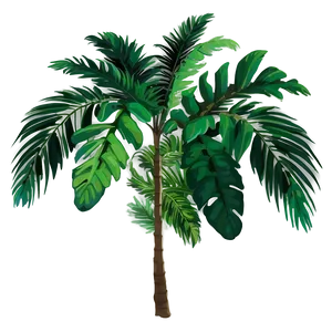 Palm Tropical Leaf PNG 37
