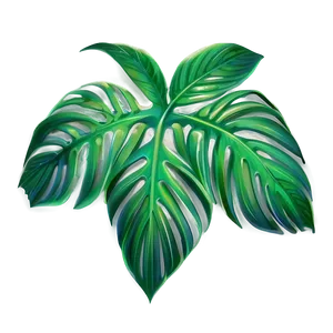Palm Tropical Leaf PNG 76
