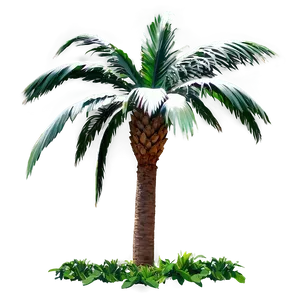 Palmera A PNG image