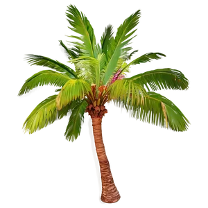Palmera Travel Postcard PNG Qvn31