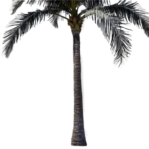 Palmera Wind Dance Png 06262024 PNG image