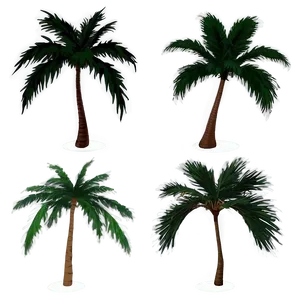 Palms B PNG image