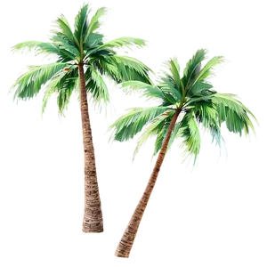 Palms In Windy Weather PNG Haf76 PNG
