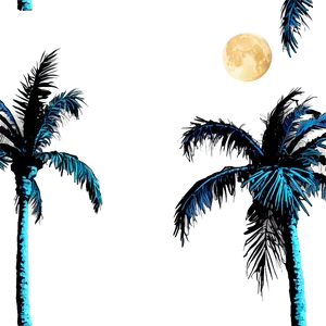 Palms Under Moonlight Png 52 PNG image