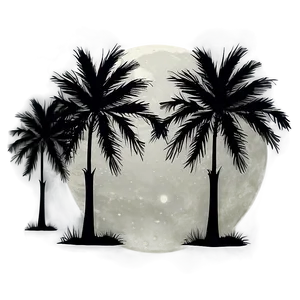 Palms Under Moonlight Png 58 PNG image