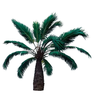Palms With Birds PNG 34 PNG