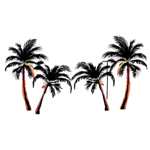 Palms With Sunset Colors PNG 39 PNG