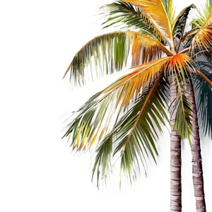 Palms With Sunset Colors PNG Rfr29 PNG