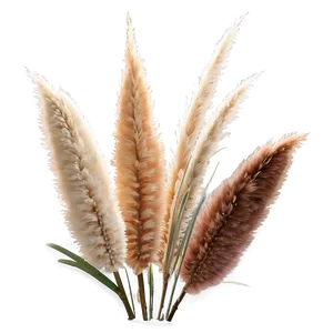 Pampas Grass Arrangement Png 06122024 PNG image