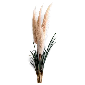 Pampas Grass Arrangement PNG 3 PNG
