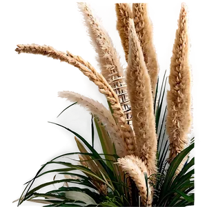 Pampas Grass Arrangement PNG 45 PNG