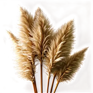 Pampas Grass Bouquet PNG 06122024