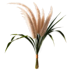 Pampas Grass Bouquet PNG 71